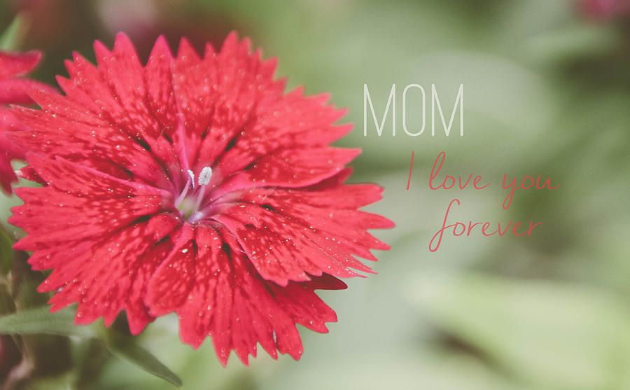 Mom I love you forever Photograph by Andrea Anderegg
