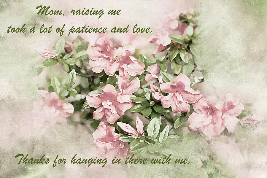 Nature Photograph - Mom, raising me took a lot of patience - Mothers Day Card by Kay Brewer