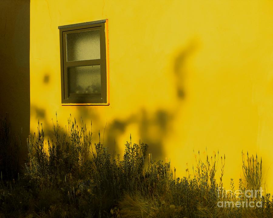Architecture Photograph - Theres a Dino in the Backyard by Tim Richards