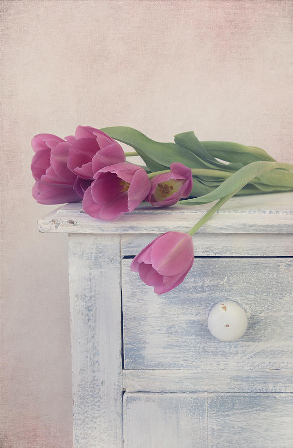 Tulip Photograph - Moment of Beauty by Kim Hojnacki