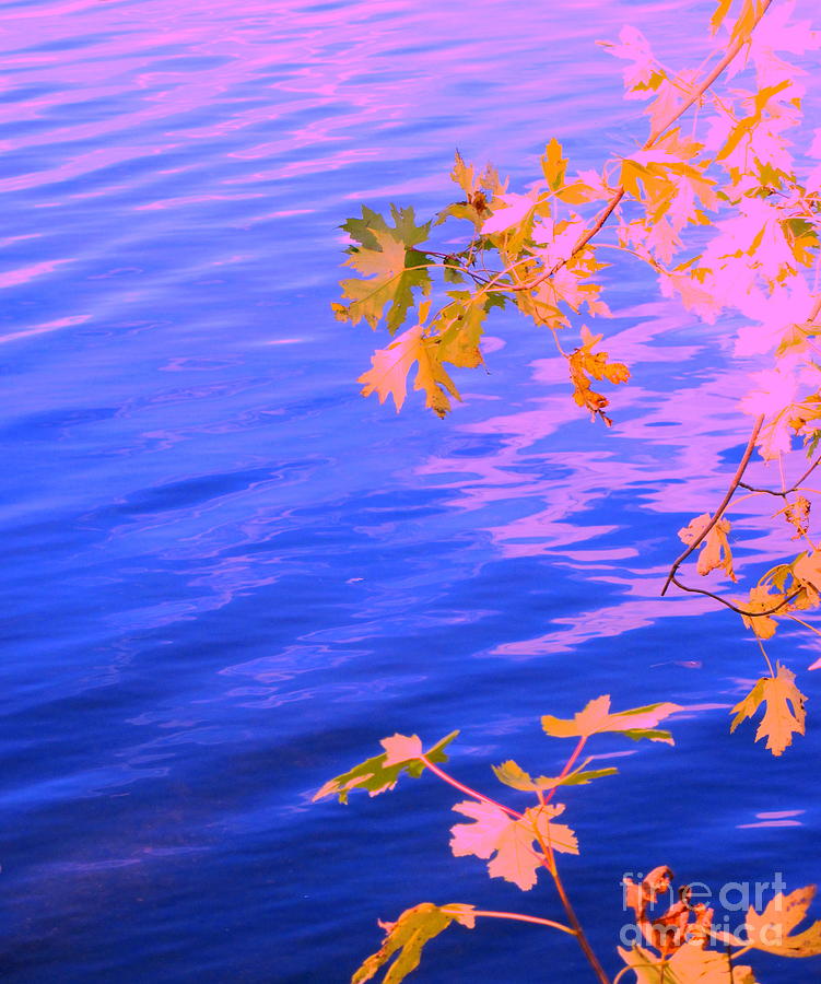 Impressionism Photograph - Moment of Quiet  by Sybil Staples