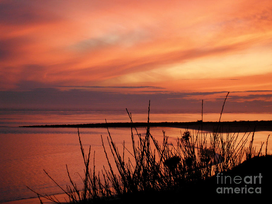 Sunset Photograph - Moment of Reflection by Dawn Kori Snyder