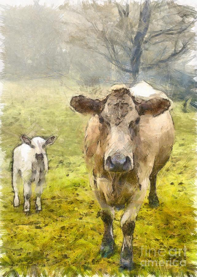 Momma and Baby Cow Pencil Photograph by Edward Fielding