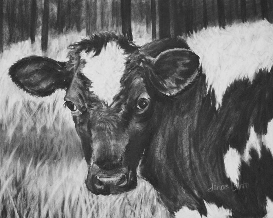Momma Cow Painting by Janae Lehto