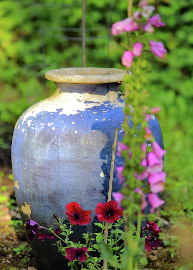 Moms Blue Vase Photograph by PJQandFriends Photography