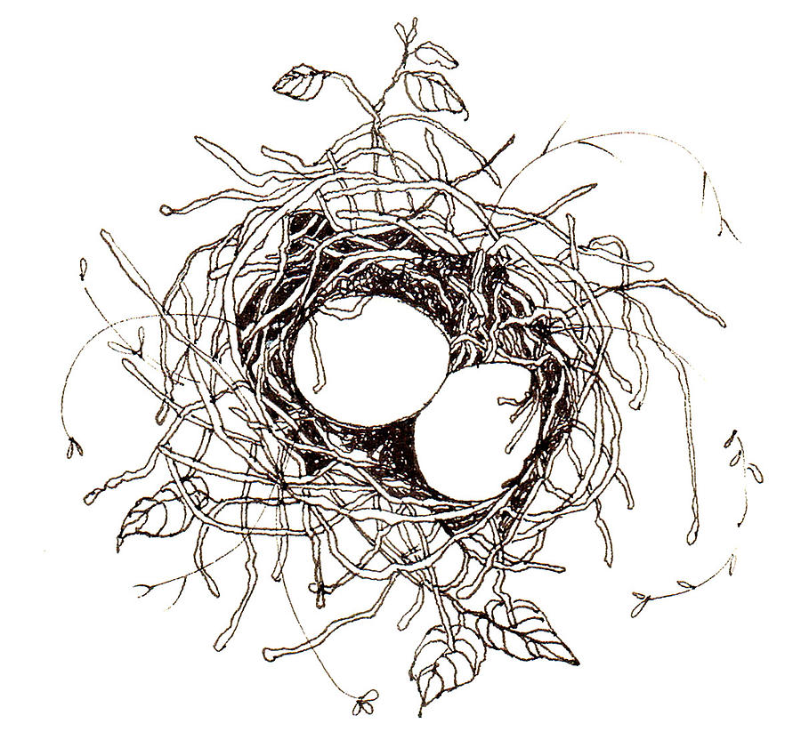 Картинка гнездо для детей раскраска