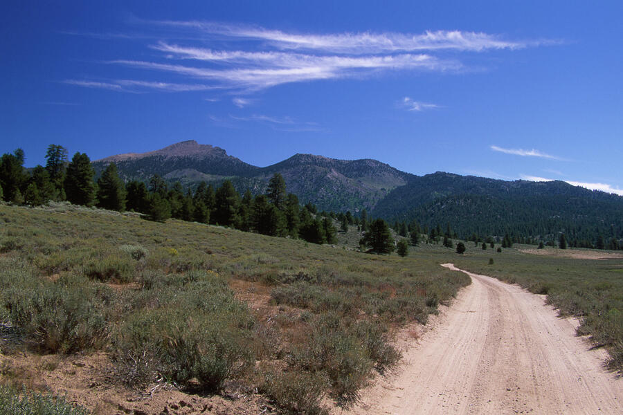 Monache Meadows Photograph by Soli Deo Gloria Wilderness And Wildlife ...