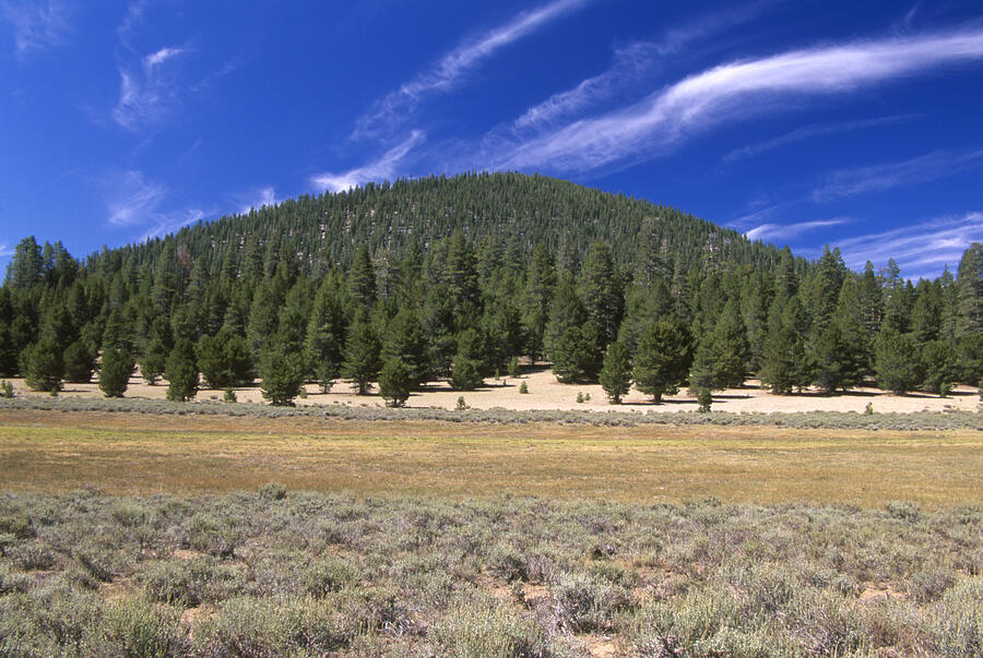 Monache Mountain Photograph by Soli Deo Gloria Wilderness And Wildlife ...