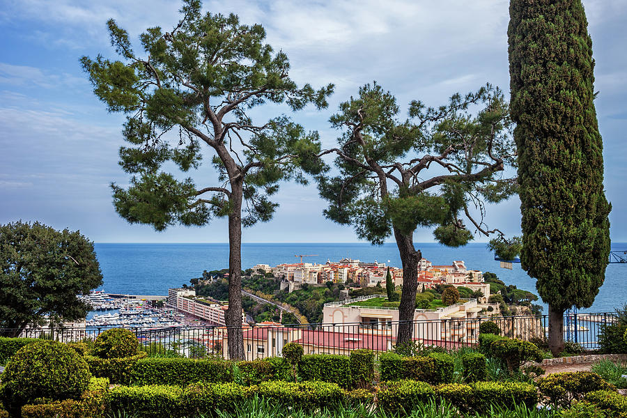Monaco City From Hillside Park Photograph by Artur Bogacki