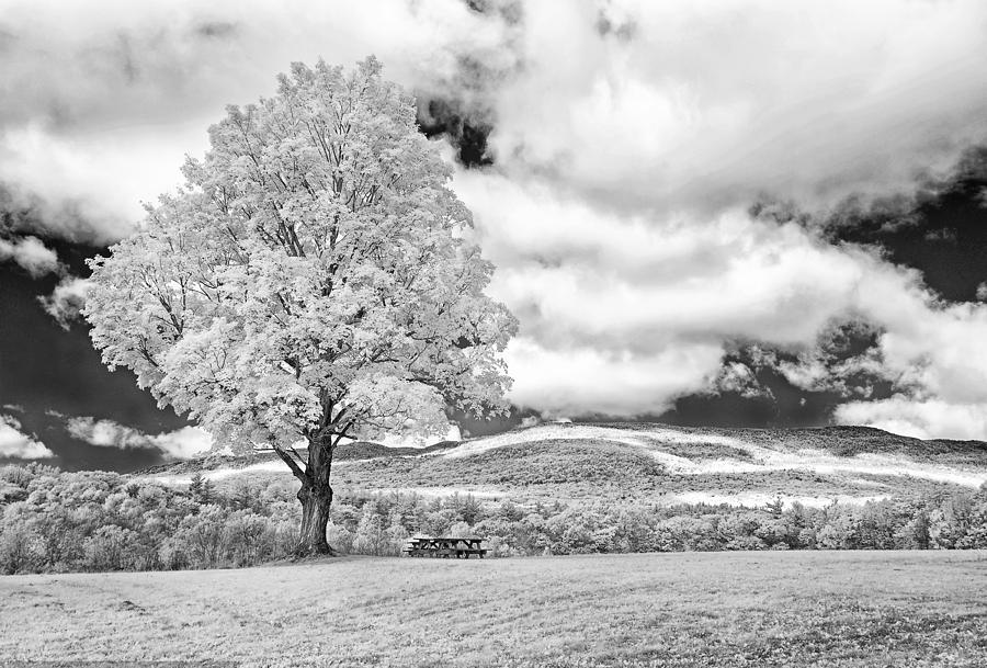 Mountain Photograph - Monadnock Fall in Infra-Red by Gordon Ripley