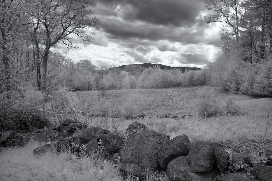 Monadnock In Black And White Photograph by Tom Singleton