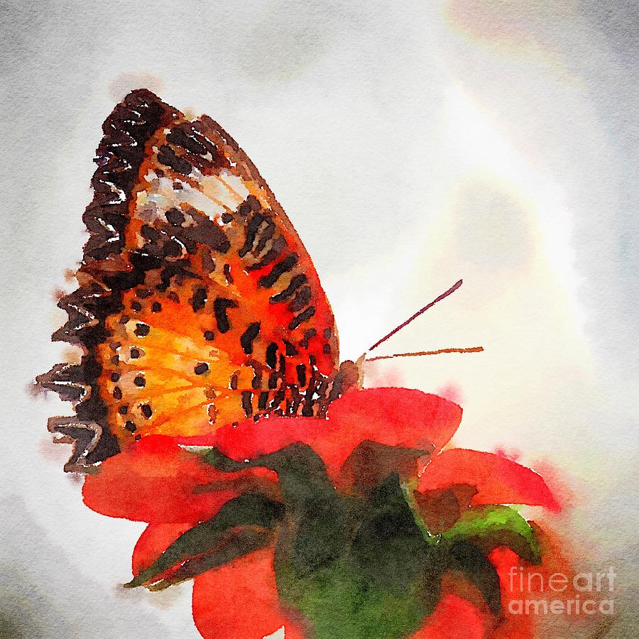 Monarch 1 watercolor  Photograph by Rrrose Pix