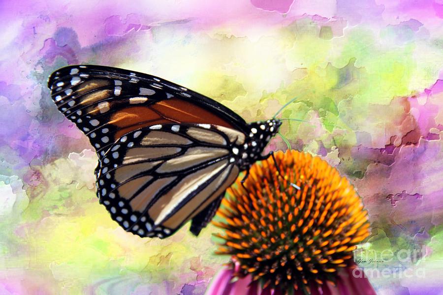 Monarch abstract  Photograph by Yumi Johnson