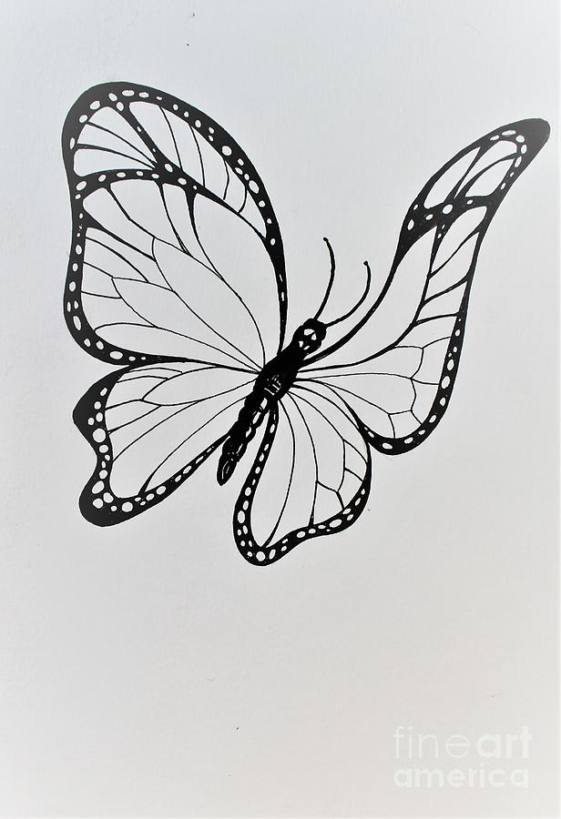 Monarch Drawing by Albert Podgurski - Fine Art America