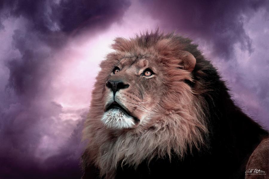 Lion Digital Art - Monarch by Bill Stephens