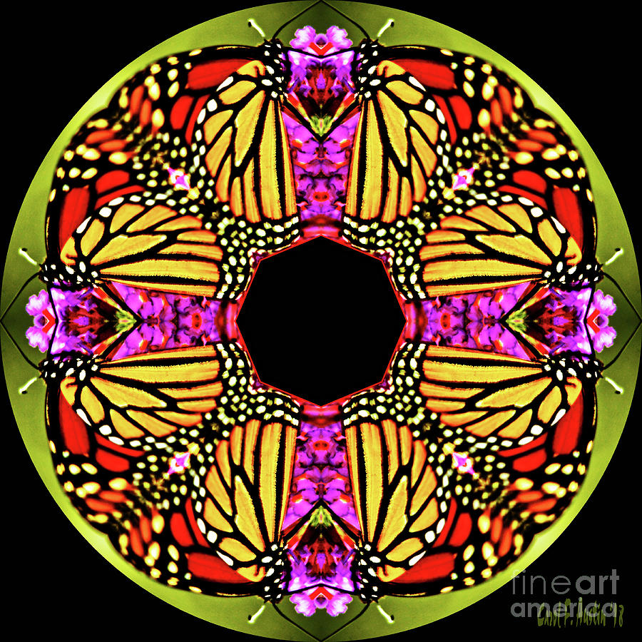 Mandala Monarch Butterfly Kaleidoscope Abstract Garden Wall Art Photograph by Carol F Austin