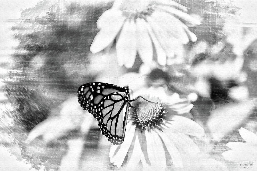 Monarch Butterfly Art 2 Digital Art by David Stasiak