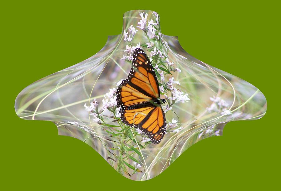 Monarch Butterfly Design Photograph By Rd Erickson