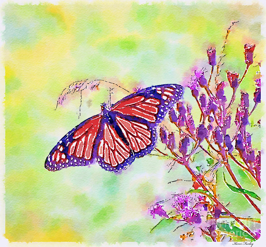 Monarch Butterfly - Digital Watercolor Photograph by Kerri Farley