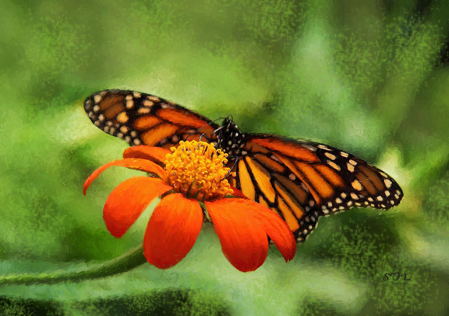 Sunflower Photograph - Monarch Butterfly Landing Painted by Sandi OReilly