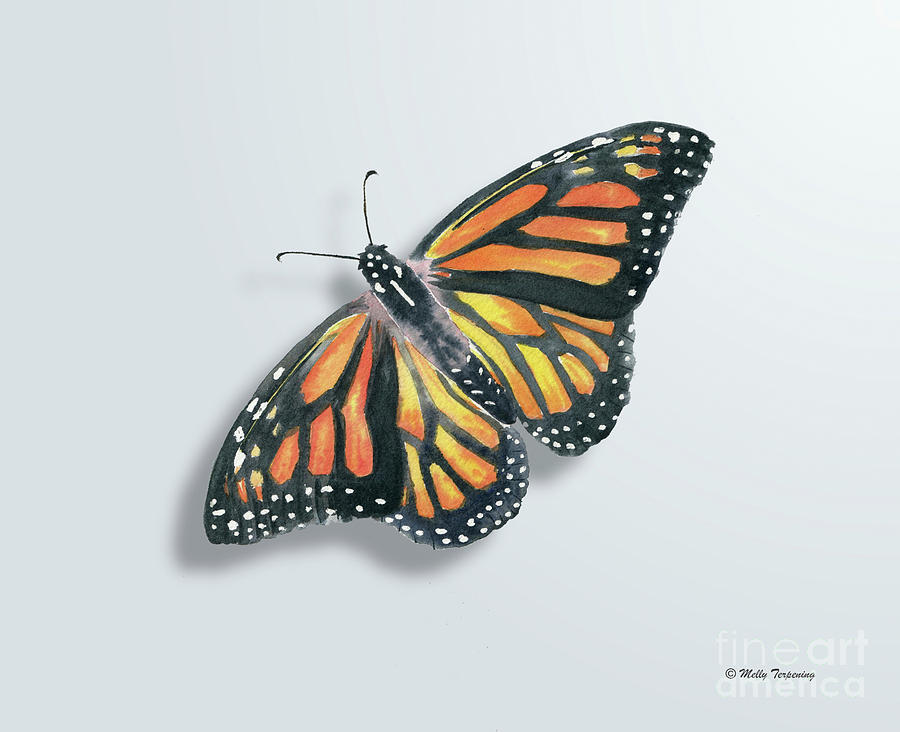 Monarch Butterfly Painting by Melly Terpening