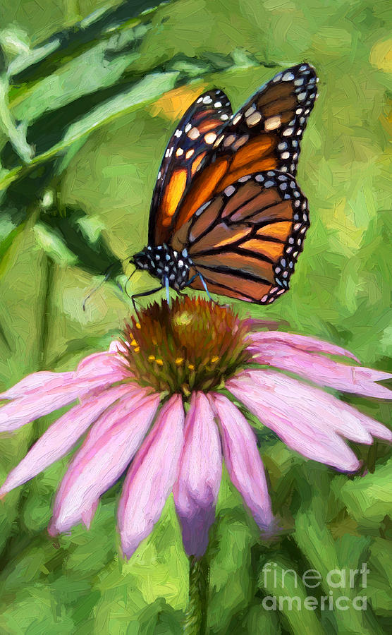 Monarch Butterfly Painterly Photograph by Barbara McMahon