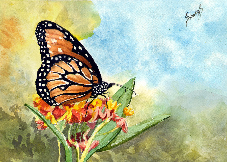 Monarch Butterfly Painting by Sam Sidders