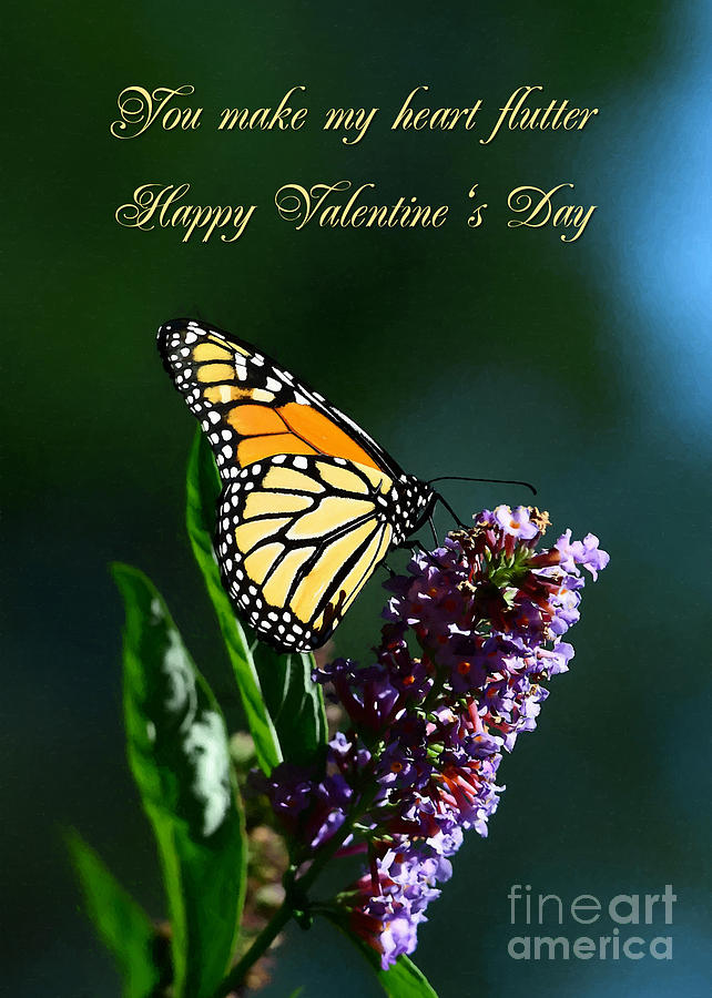 Rose Digital Art - Monarch Flutters Valentine by JH Designs