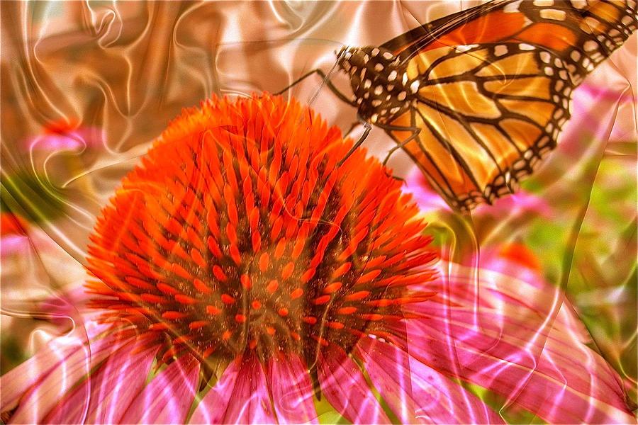 Monarch Mirage Photograph by Randy Rosenberger