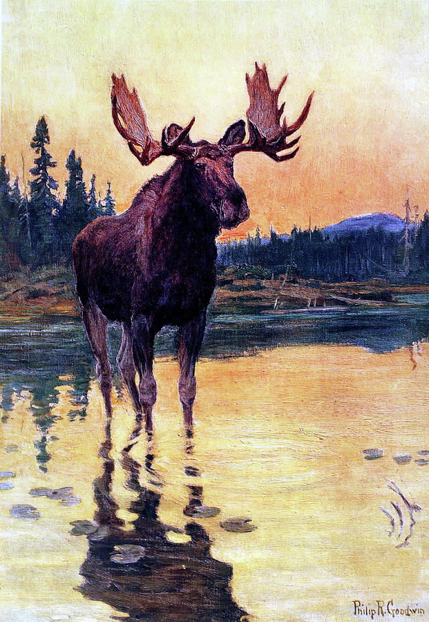 Monarch Of The North Painting by Philip R Goodwin
