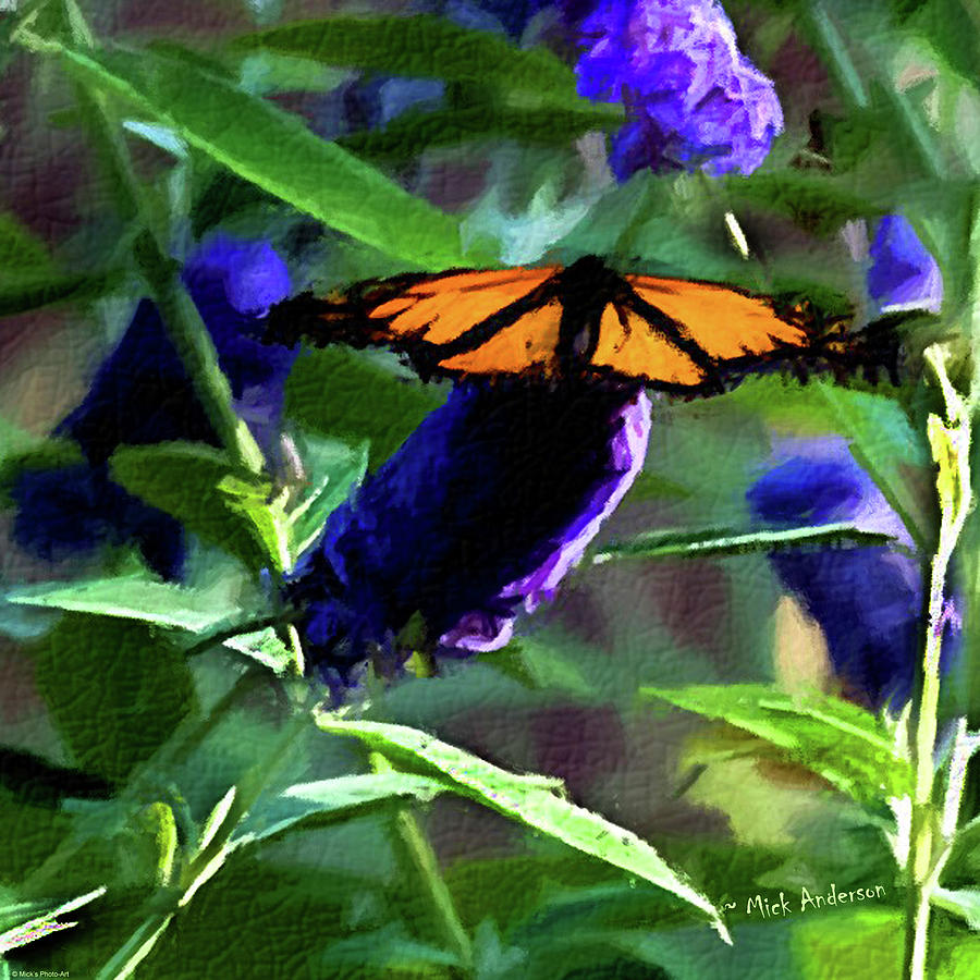 Monarch on a Butterfly Bush Photograph by Mick Anderson