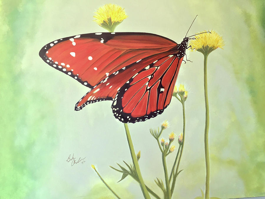 Monarch on Milkweed Painting by Barbara Andrews