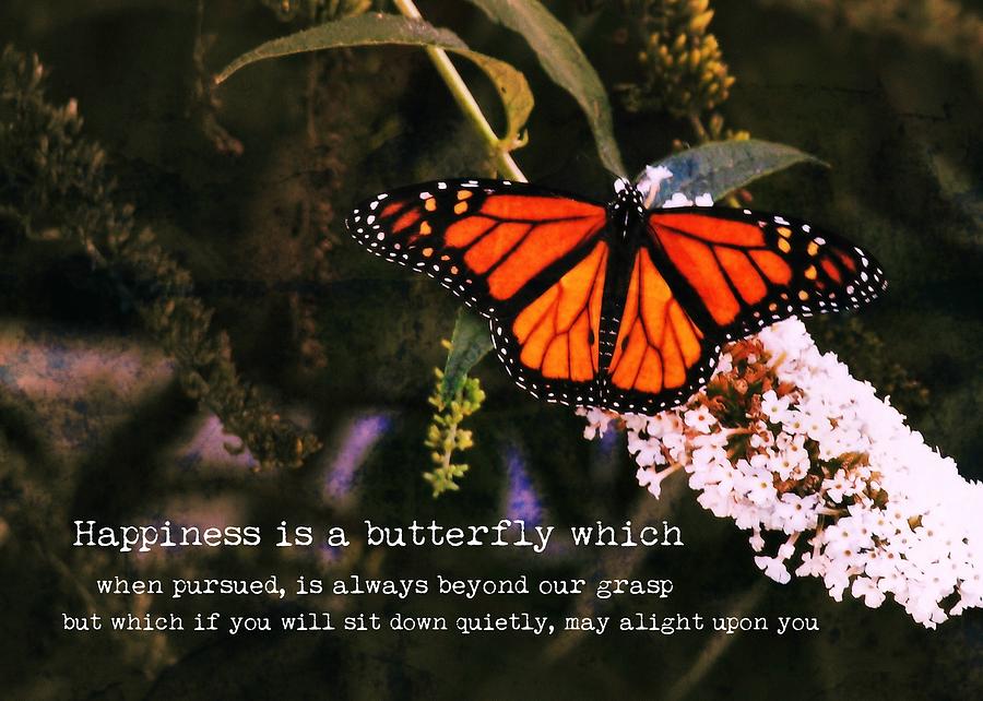 Monarch Quote Photograph by JAMART Photography