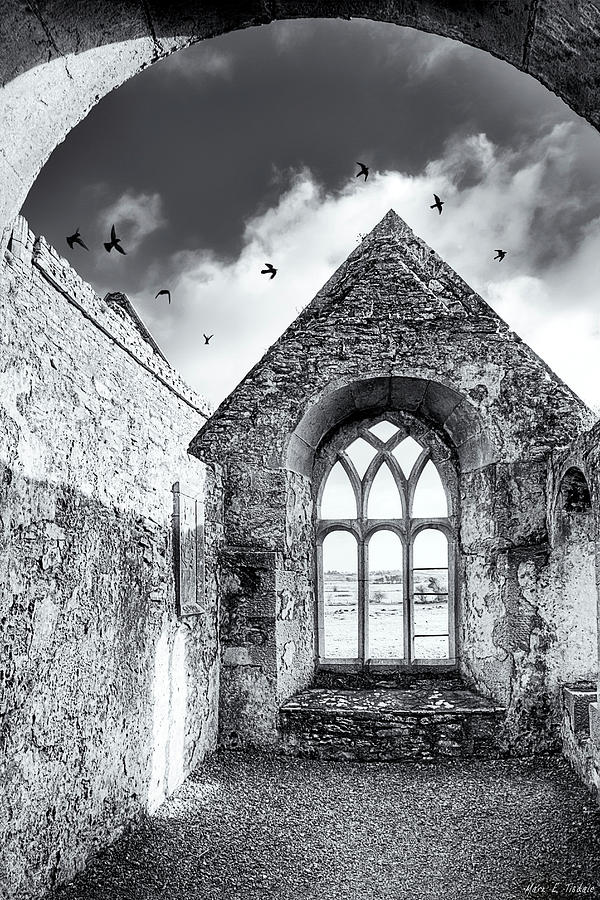 Monastic Ruins of Ireland - Ross Errilly Friary Photograph by Mark Tisdale