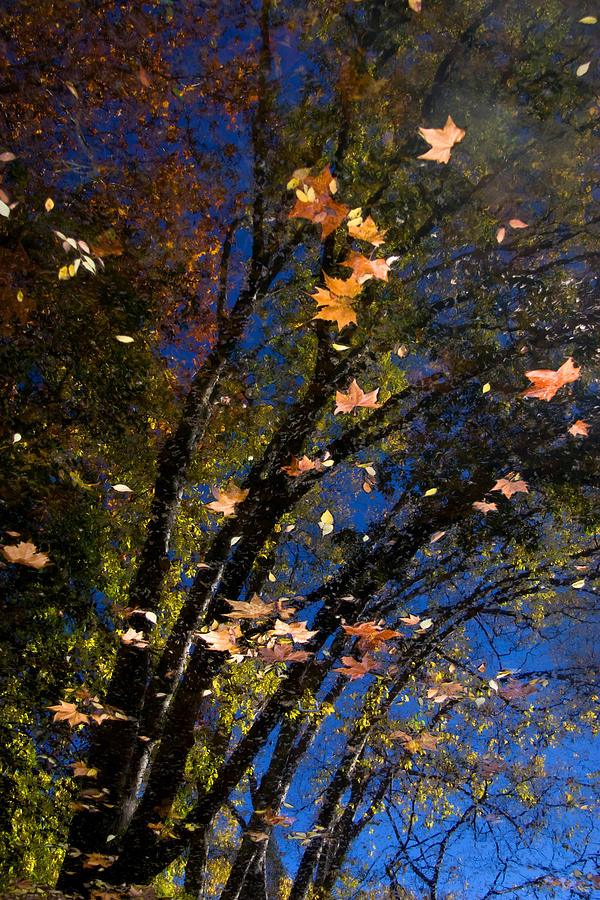 Monchique Autumn Reflection 1 Photograph by John McKinlay
