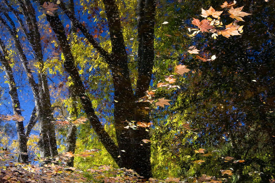 Monchique Autumn Reflection 2 Photograph by John McKinlay