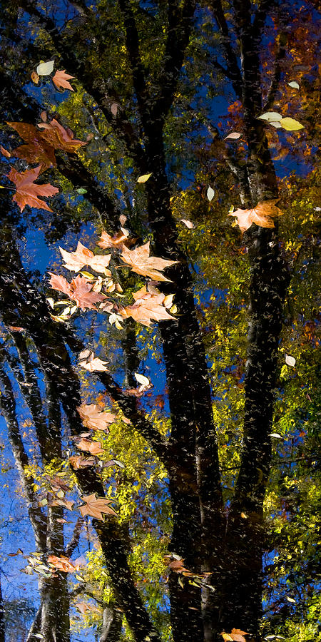 Monchique Autumn Reflection 3 Photograph by John McKinlay