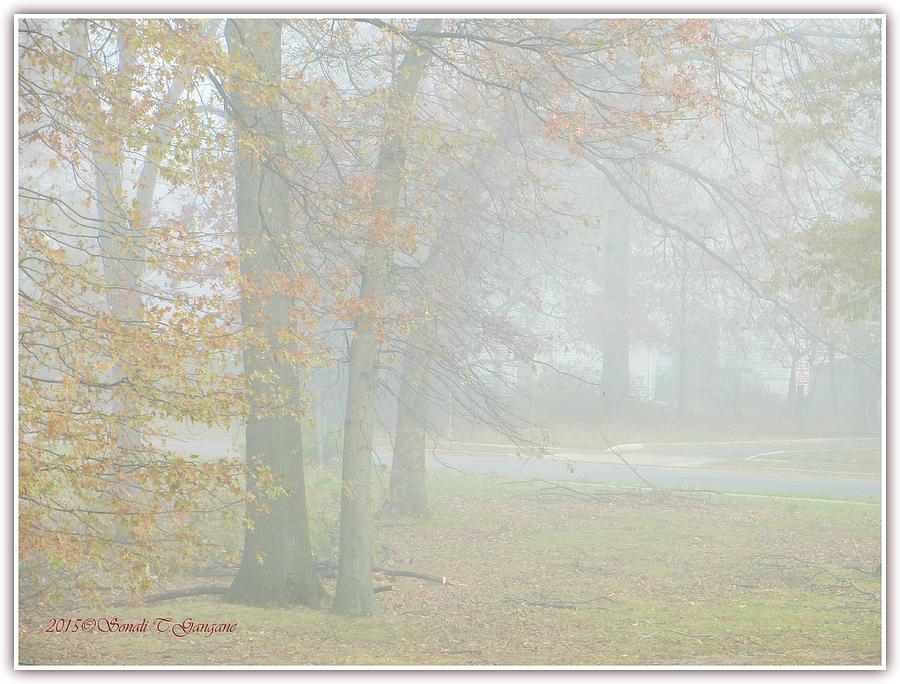 Monday Mist Photograph by Sonali Gangane