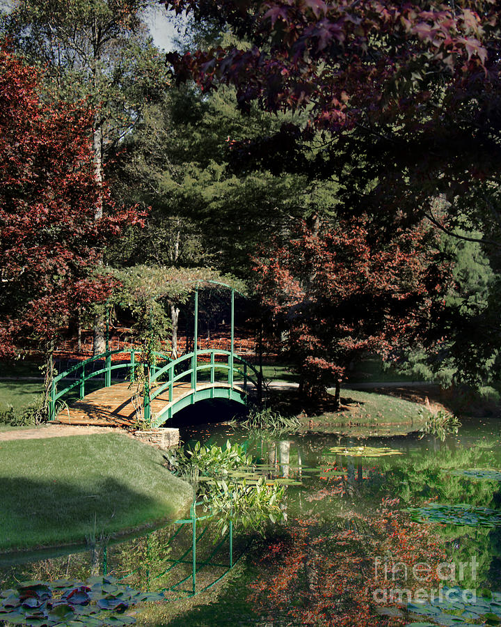 Monet Bridge In Fall Photograph By Tom Gari Gallery Three Photography   Monet Bridge In Fall Tom Gari Gallery Three Photography 