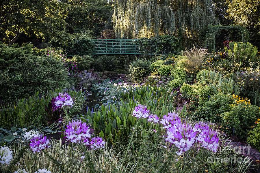 Claude Monet Photograph - Monet Garden by Lynn Sprowl