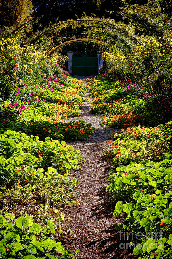 Monet Garden Path  Photograph by Olivier Le Queinec
