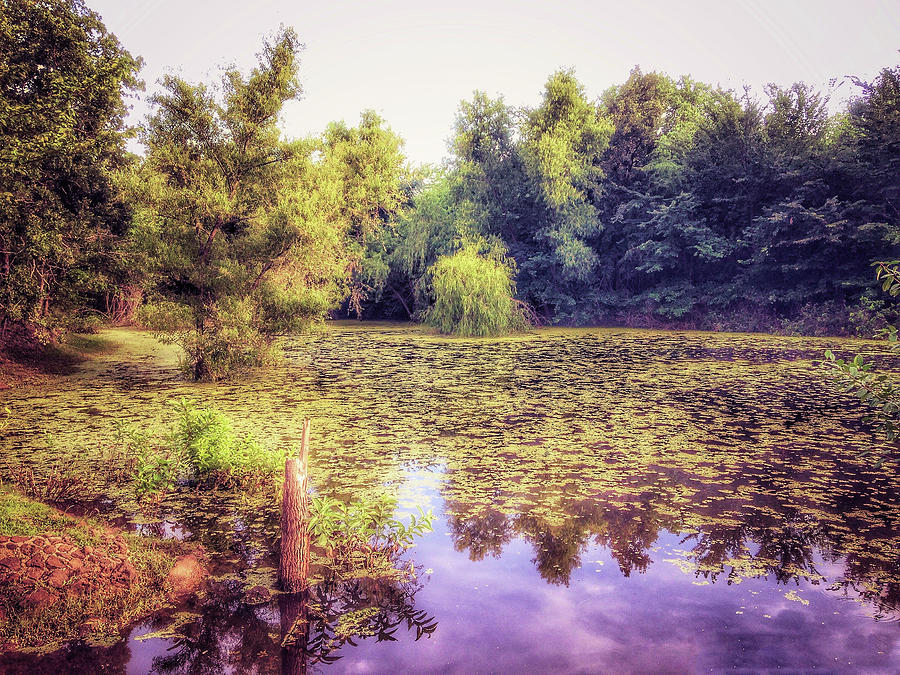 Monet-like Pond Photograph by Doris Aguirre