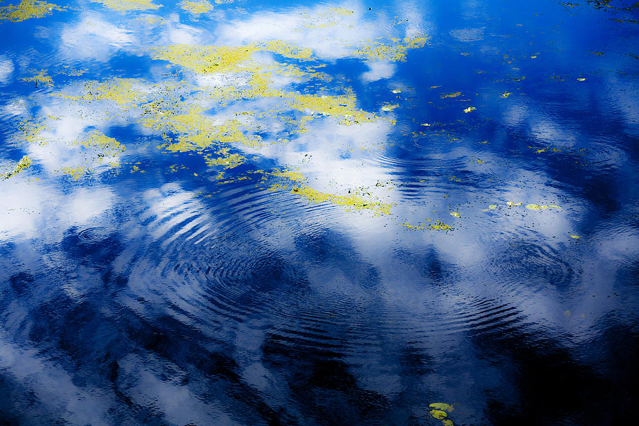 Monet Like Water Photograph by Marilyn Hunt
