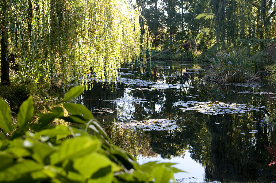 Giverny Photograph - MonetGarden 2543.jpg by Charles Ridgway Giverny Photograph - MonetGarden 2543.jpg by Charles Ridgway