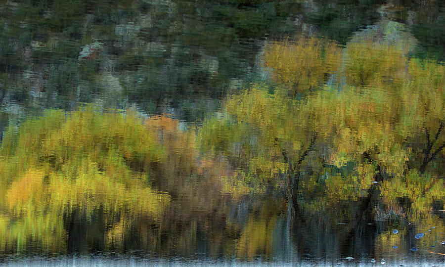 Monets Autumn Photograph by Sue Cullumber