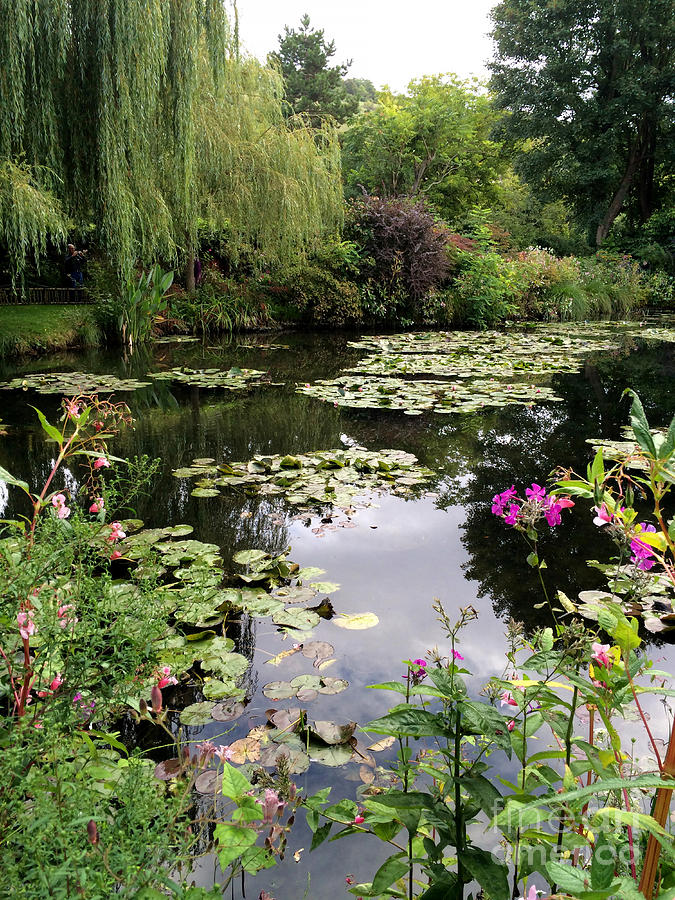 Monets Garden, Giverny, France Photograph by Mary Beth Dimijian
