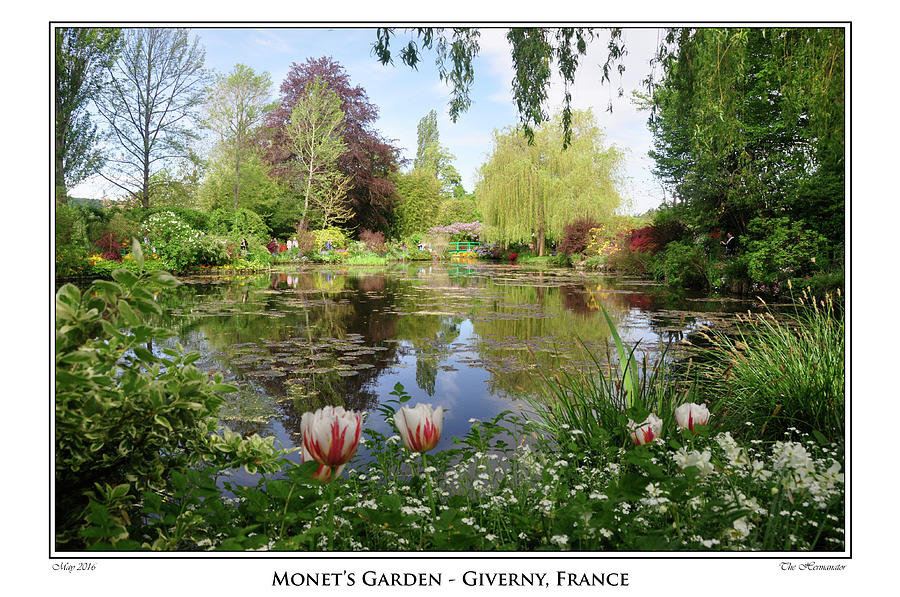 Monets Garden Photograph by Herman Hagen