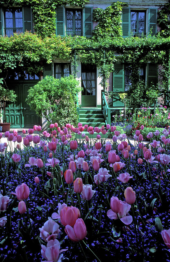 Monets House With Tulips Photograph