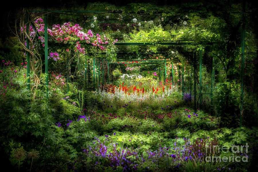Monets Lush Trellis Garden in Giverny, France Photograph by Liesl Walsh
