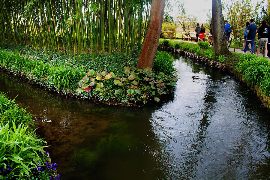 Monet's River Splits Photograph by Elise Commons - Fine Art America